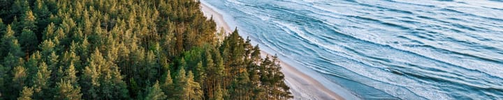 Book your next flight to the Baltics