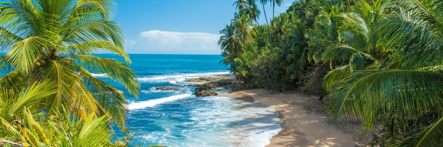 scenic image of a beach in costa rica