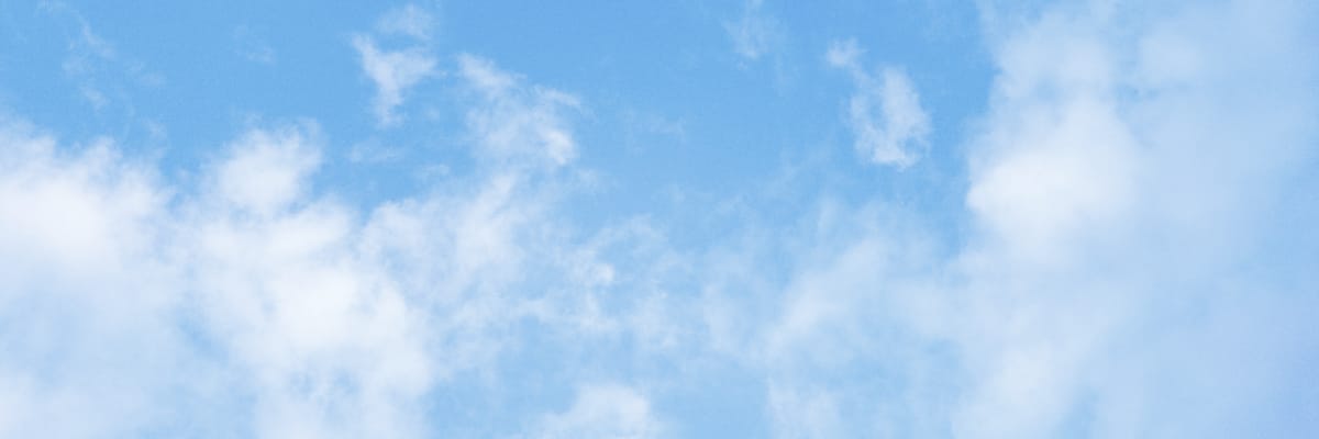 Flights from Posadas