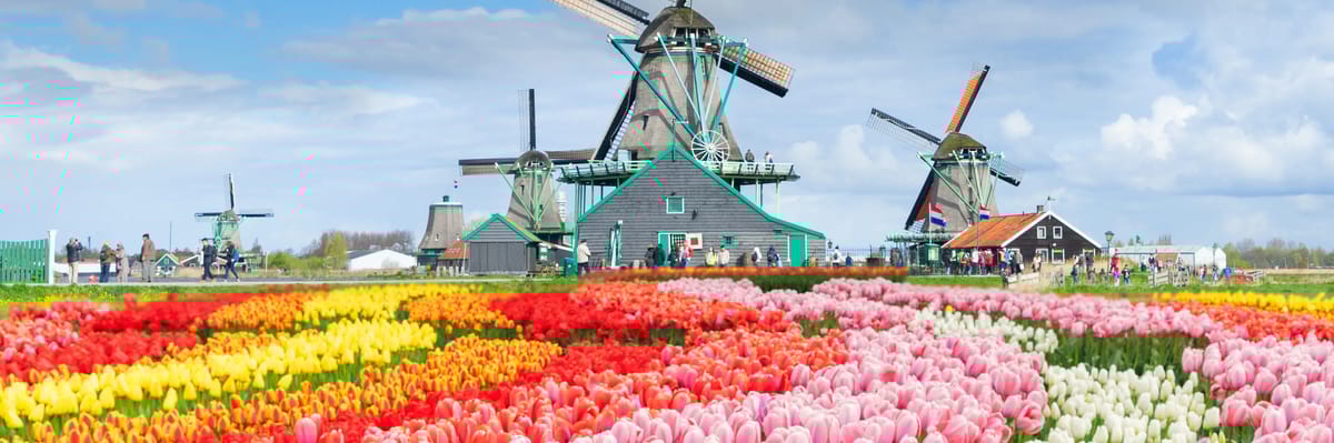 Lennot kohteeseen Amsterdam lentoyhtiöllä airBaltic