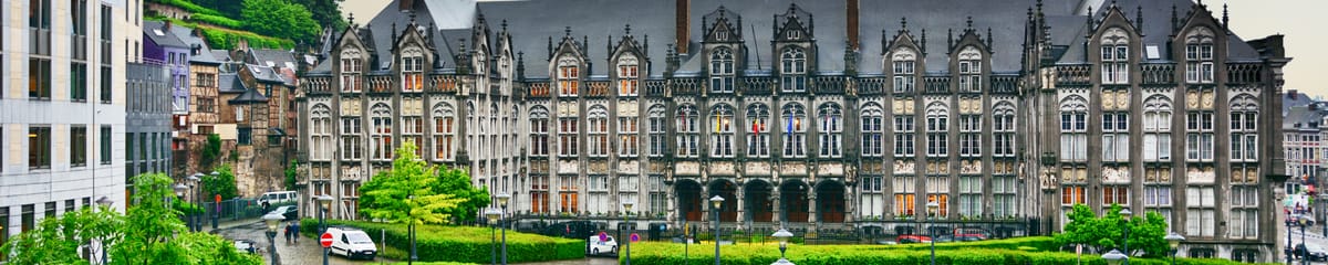 Flyg till Liège (LGG){price_modifier} från **Flights.FromLowestPrice**