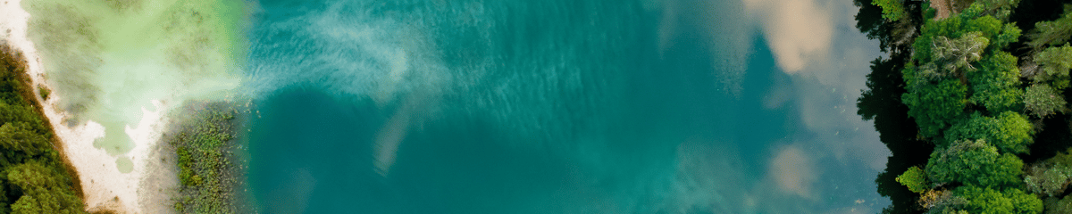 Flyg till Litauen{price_modifier} från **Flights.FromLowestPrice**