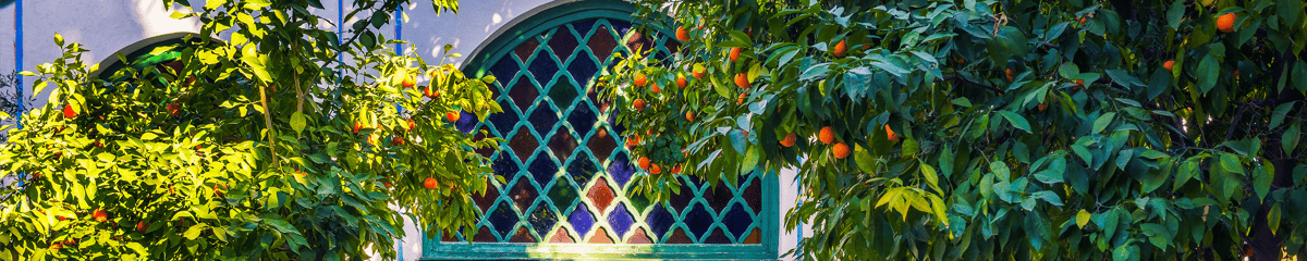 Lennot kohteeseen Marrakech lentoyhtiöllä airBaltic