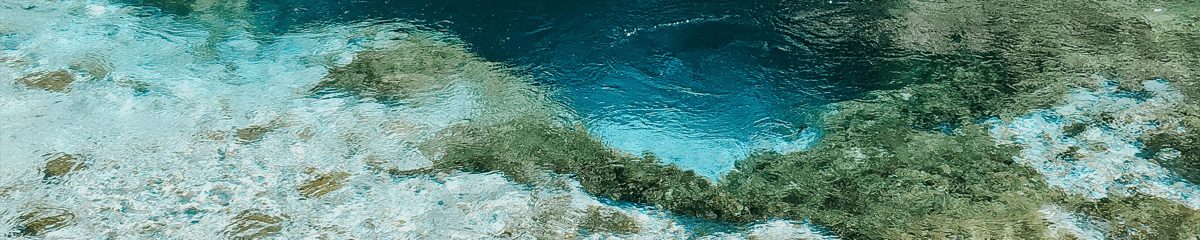 Flyg till Tirana (TIA){price_modifier} från **Flights.FromLowestPrice**