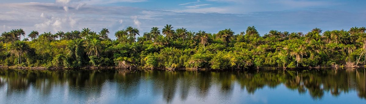 "Перелеты Turkish Airlines из Нью-Йорка в Монровию",