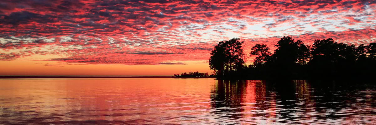 Cheap flights to Columbia, SC (CAE) with Allegiant Airlines