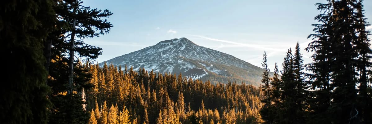 Mountain and pine trees near redmond, oregon