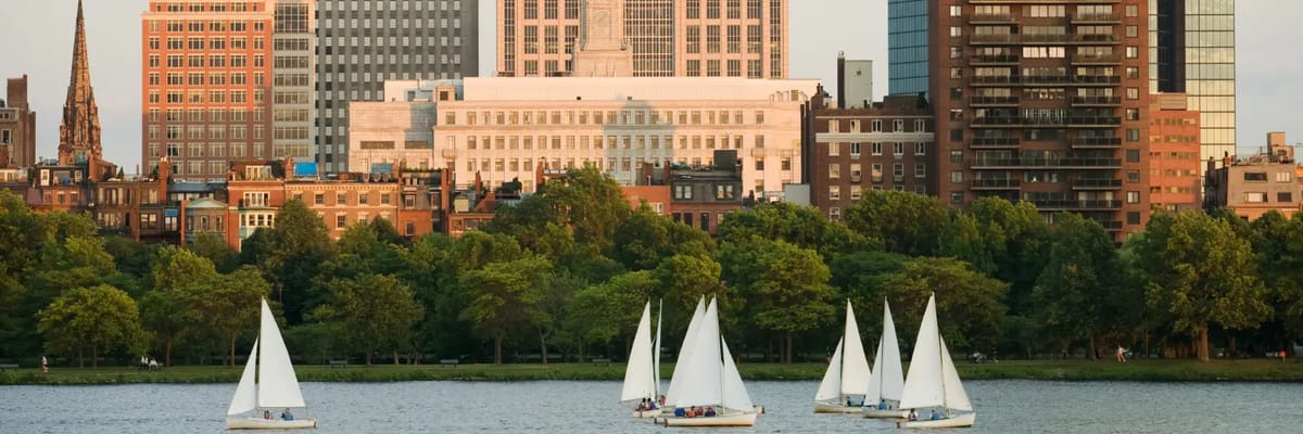 sail boats sailing in front of Boston skyline