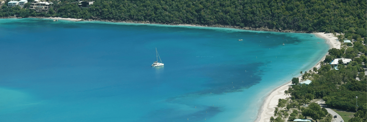 beach surrounded by trees in St Thomas