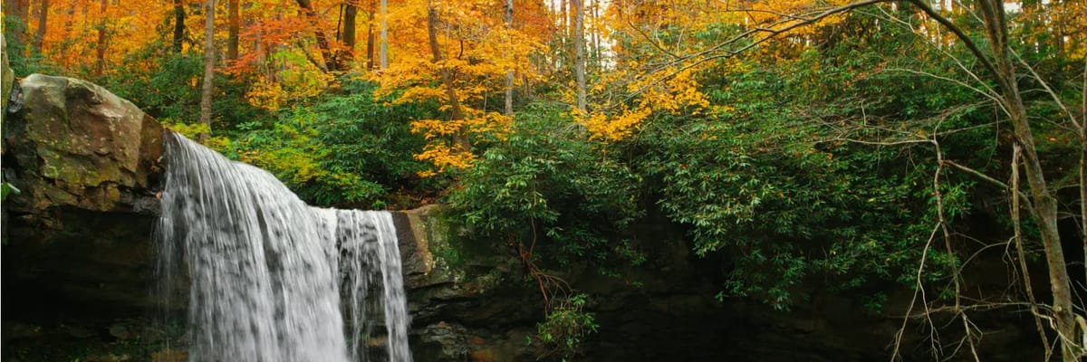 waterfall surrounded by fall colored trees