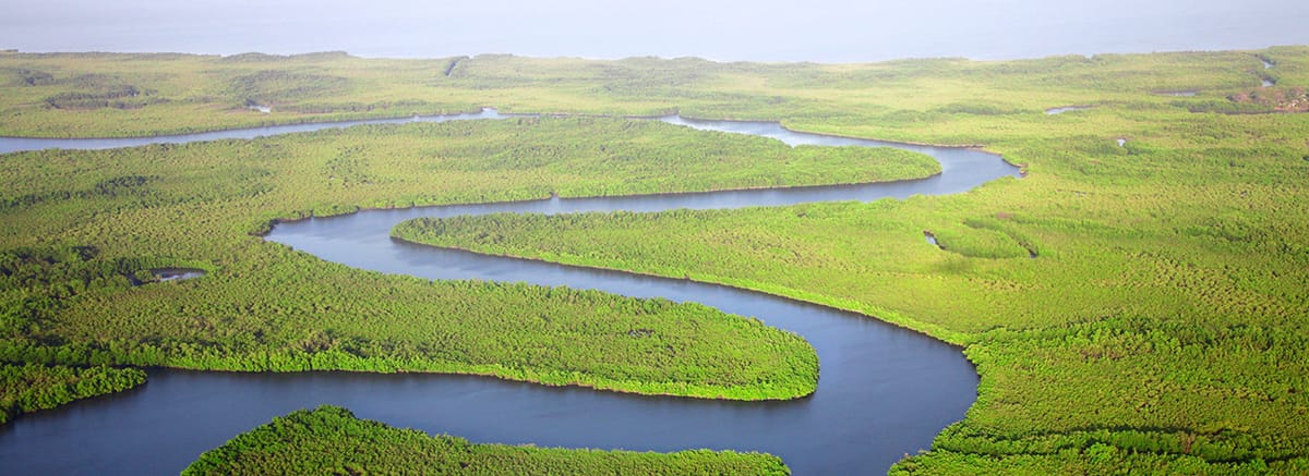 Flyrejser til Gambia