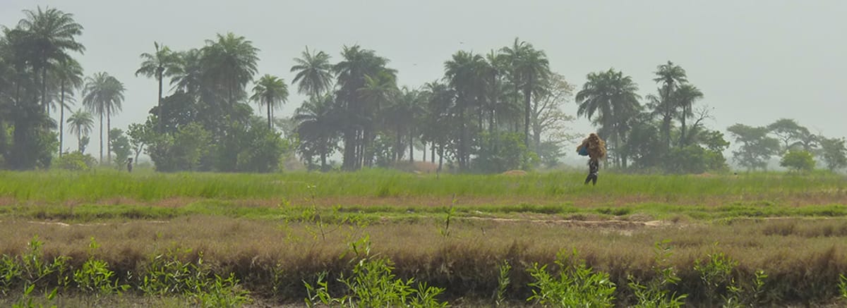 Flyrejser til Guinea-Bissau