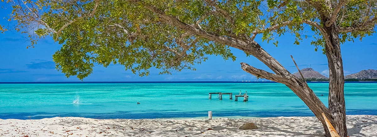 Flyrejser til Venezuela