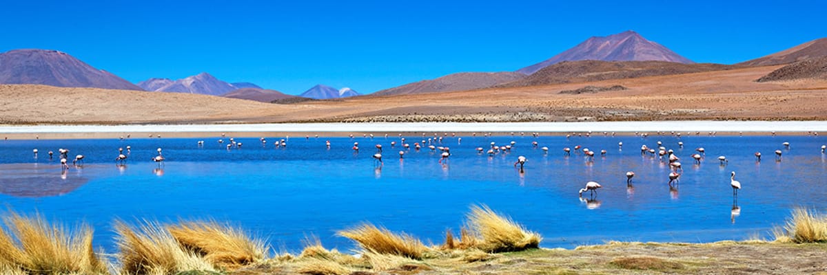 Find Belgium - Bolivia Cheap Flights