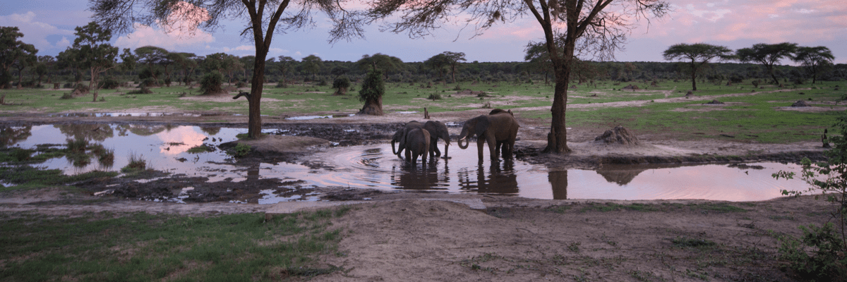 Flights from Lubumbashi to Botswana with Airlink