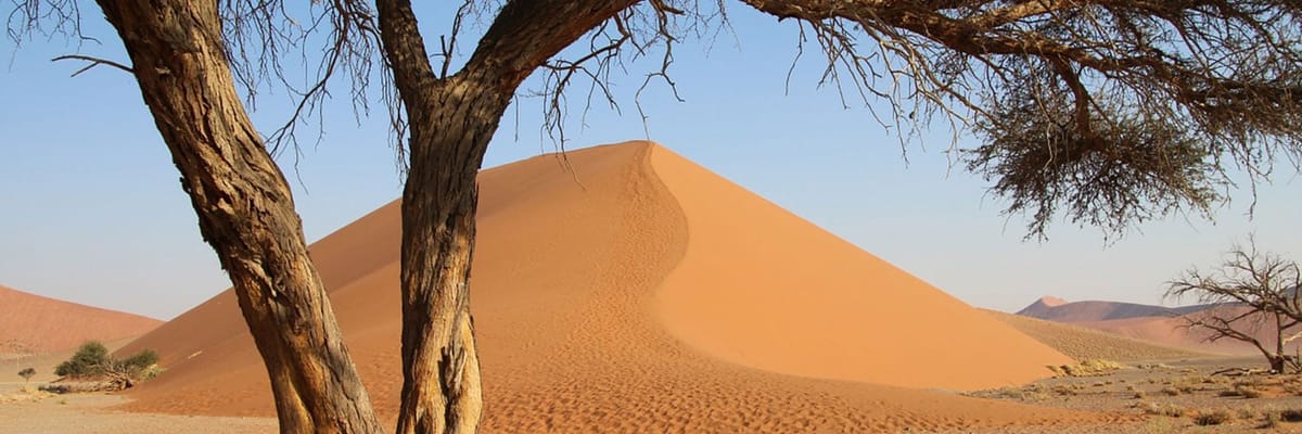 Flights from Walvis Bay (WVB)