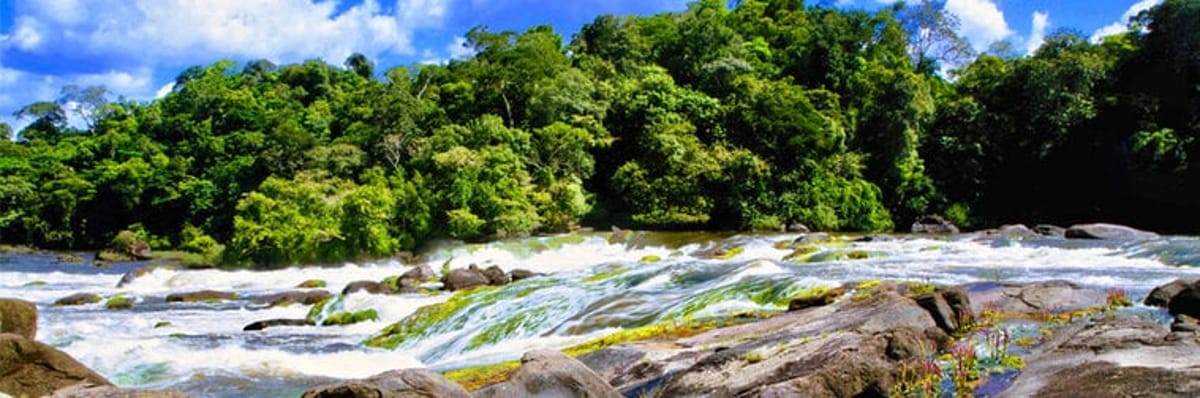American Airlines flights from Madrid to Suriname