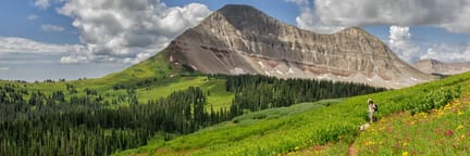 Dallas - Durango, CO