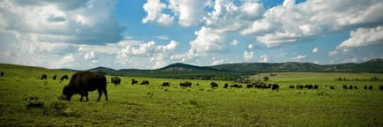 Dallas - Lawton/Fort Sill