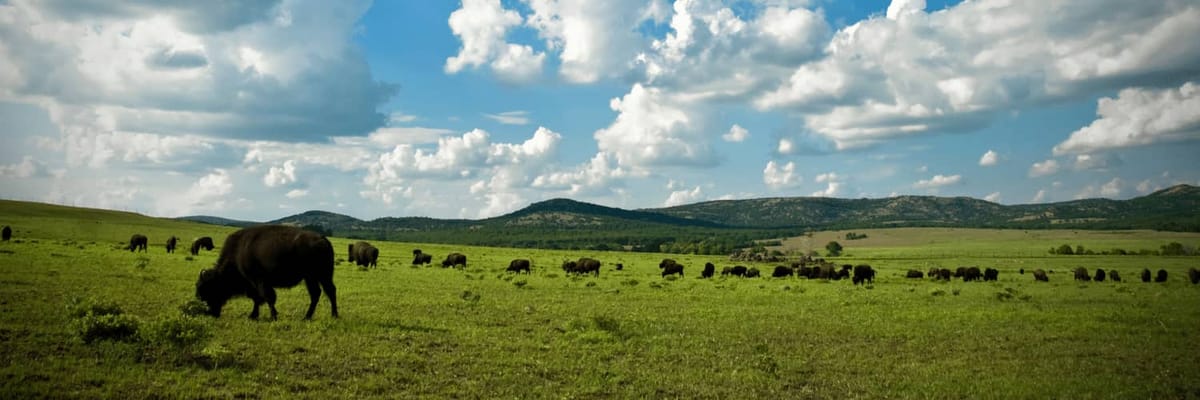 American Airlines flights to Lawton/Fort Sill from **Flights.FromLowestPrice***