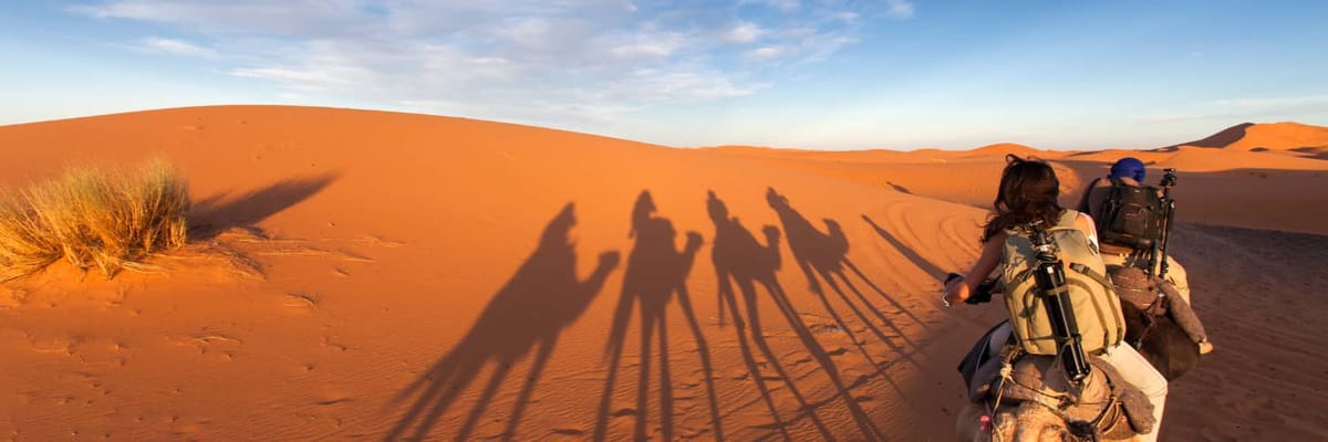 Flights to Saudi Arabia with American Airlines