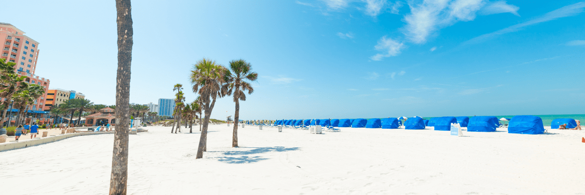 Flights to Tampa (TPA) with American Airlines