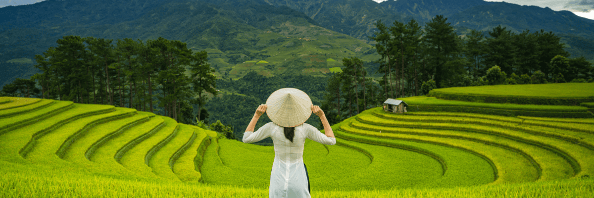 American Airlines flights to Hanoi from **Flights.FromLowestPrice***