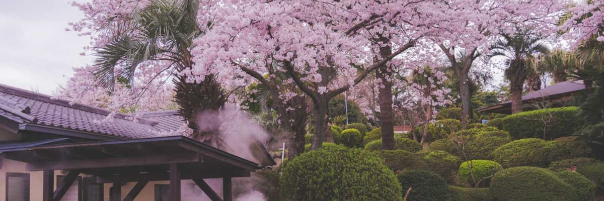 Vuelos a Fukuoka (FUK) con American Airlines