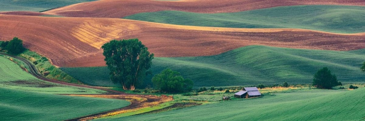 American Airlines flights to Pullman from **Flights.FromLowestPrice***