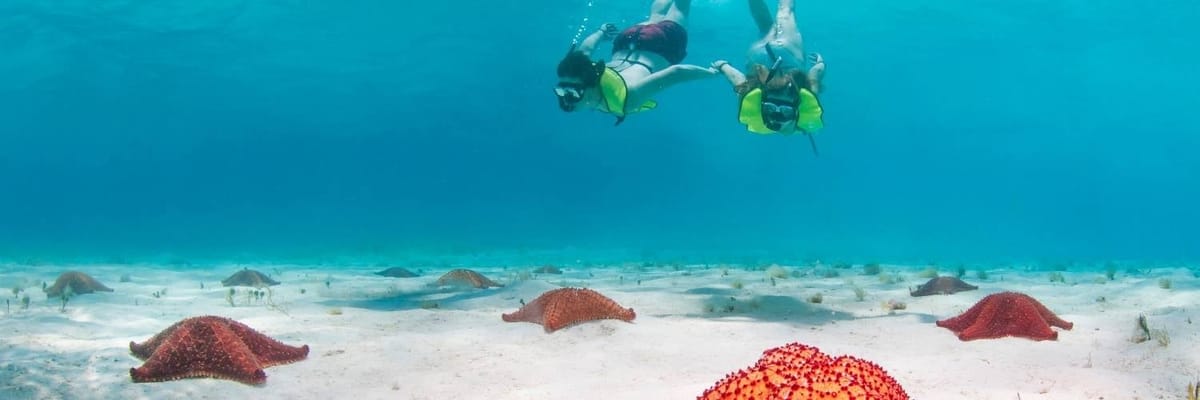 Vuelos a Roatán (RTB) con American Airlines