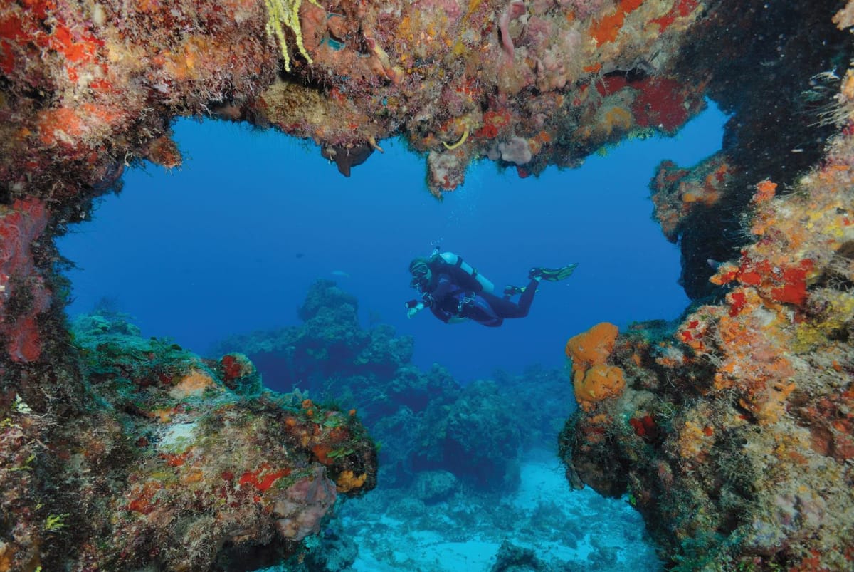American Airlines flights to Cozumel from **Flights.FromLowestPrice***