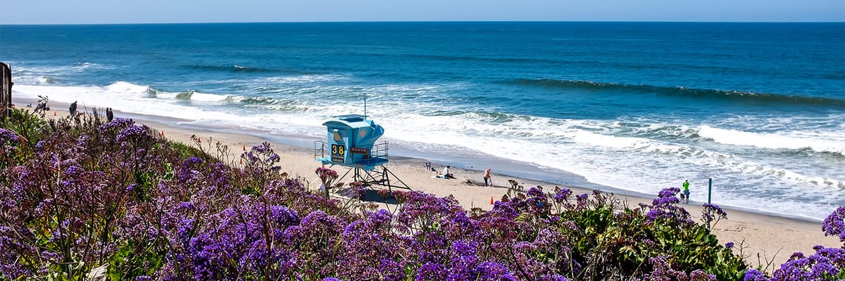 American Airlines flights to Oceanside from **Flights.FromLowestPrice***