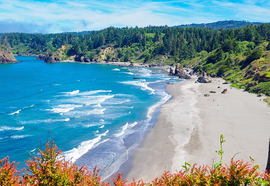 Arcata-Eureka, California
