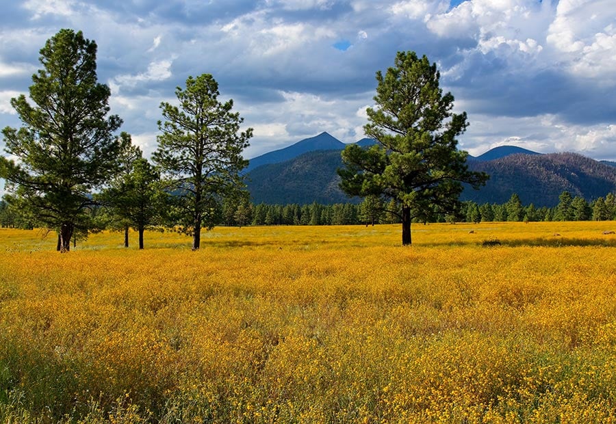 Flagstaff, Arizona