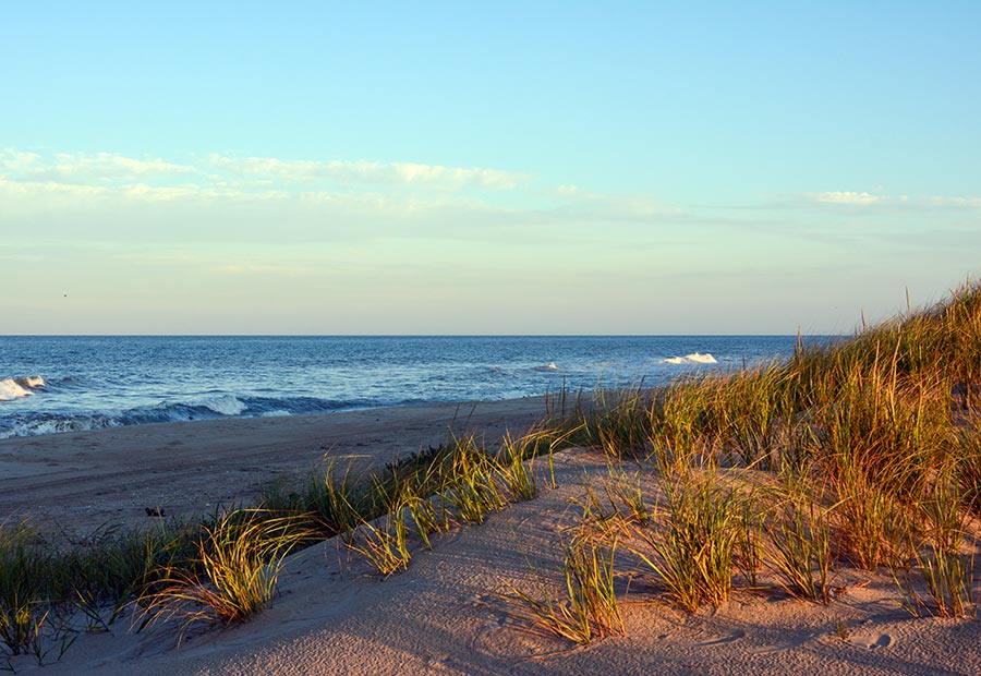 Sand dunes and sea grass along the shoreline near Jacksonville, North Carolina.