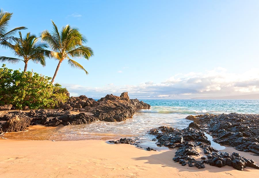 Palm trees and a rocky beach along the coastline in Maui, Hawaii.