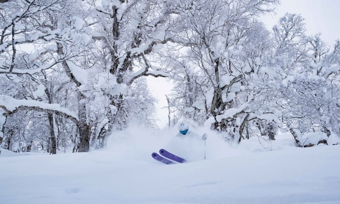 Skier in Asahikawa, Japan