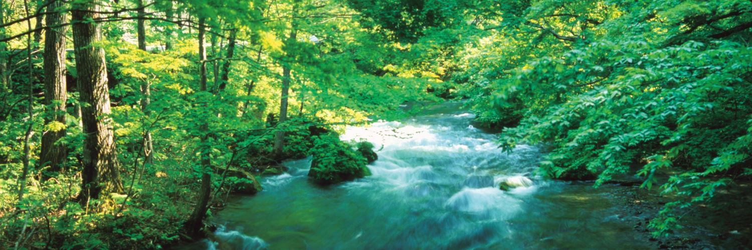 Vacation Packages to Aomori Shi