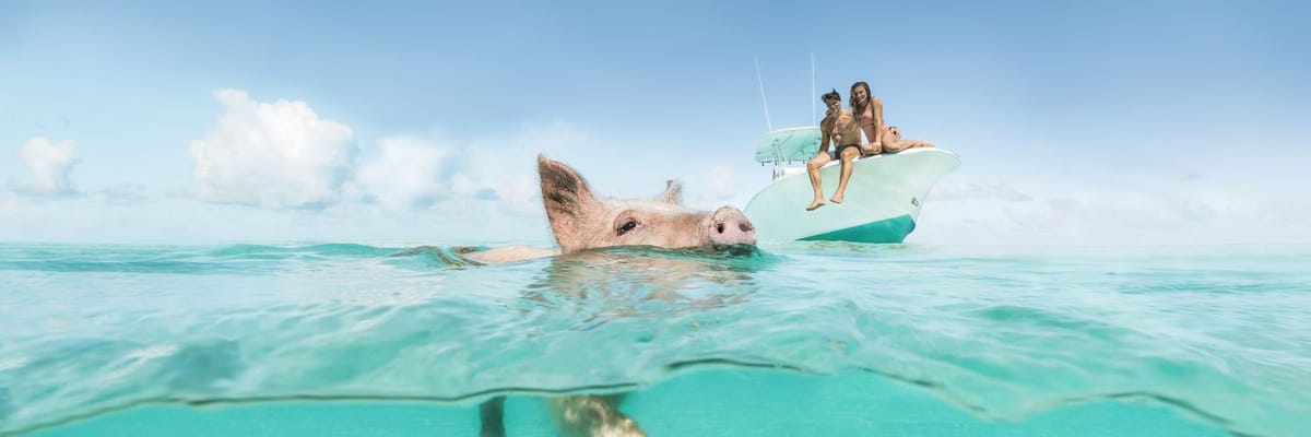 Bahamas vacation packages