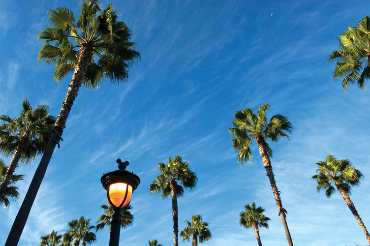 Vacations from Charlotte to Anaheim