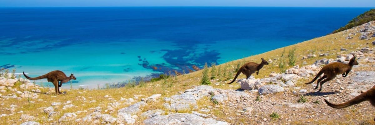 Vacation Packages to Adelaide