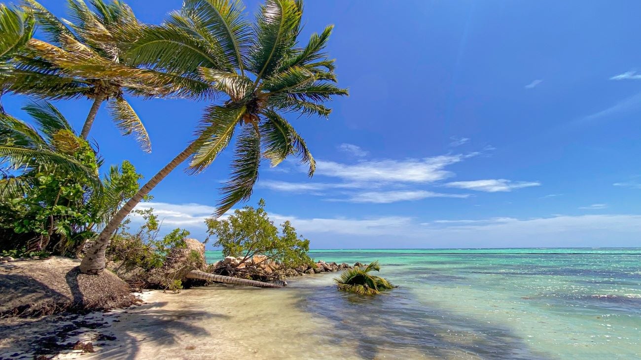 Mexican Beaches