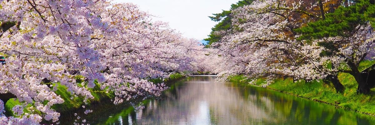 Japan vacation packages