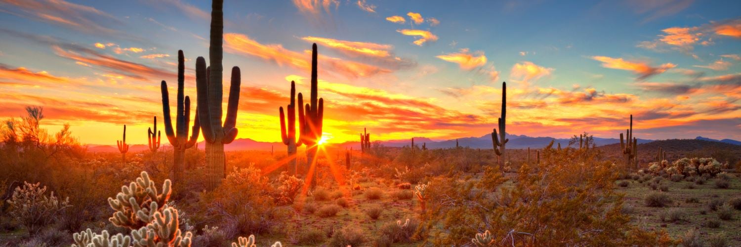 Vacations from Dallas-Fort Worth to Phoenix