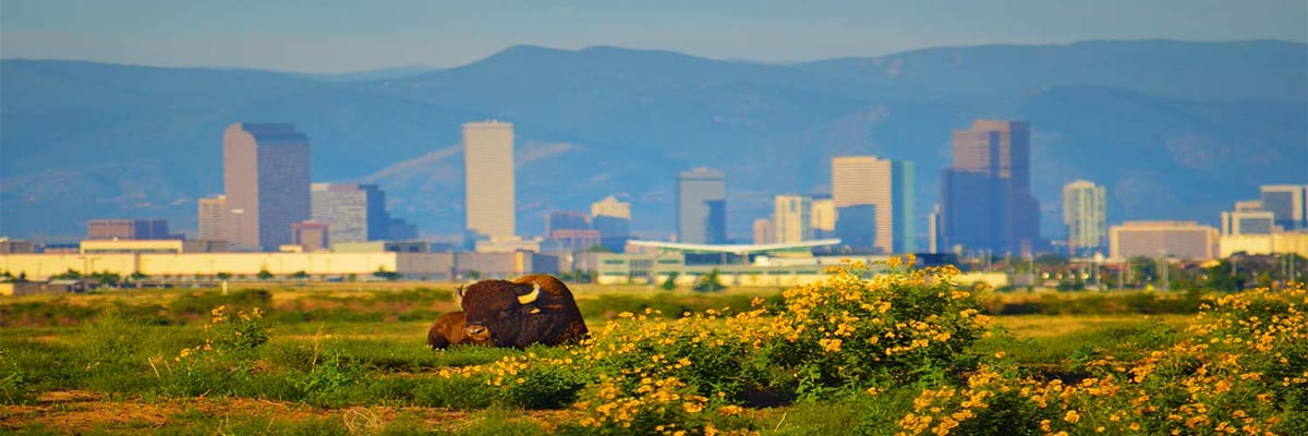 Vacation Packages to Denver
