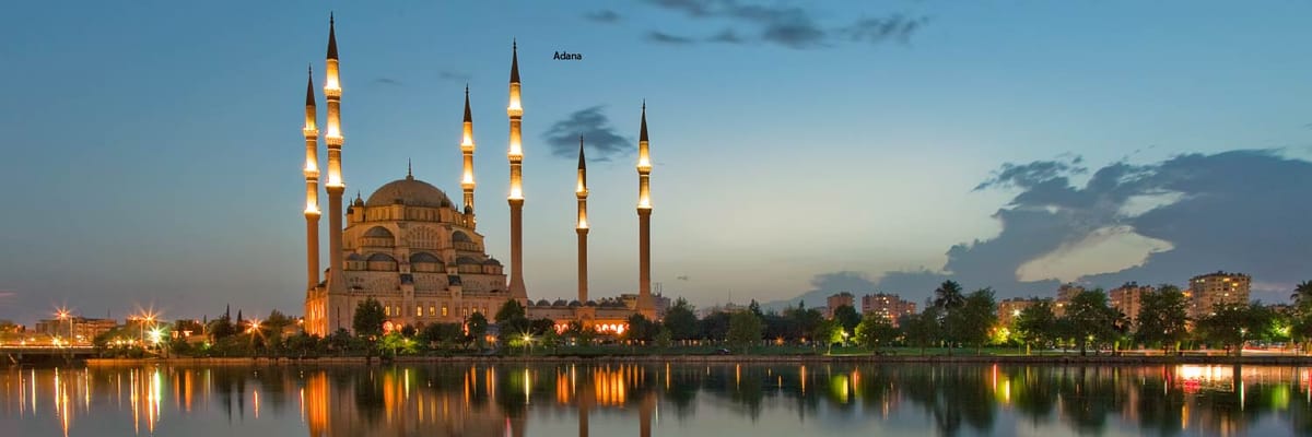Flights to Adana with Air India