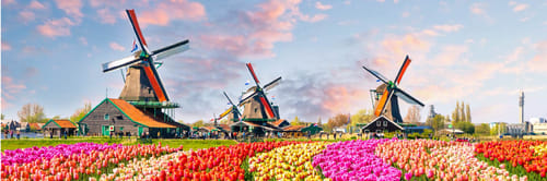 Flights from Amsterdam with Air India