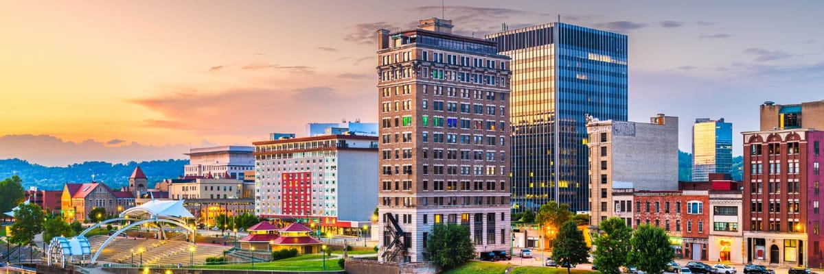 Flights to Charleston with Air India