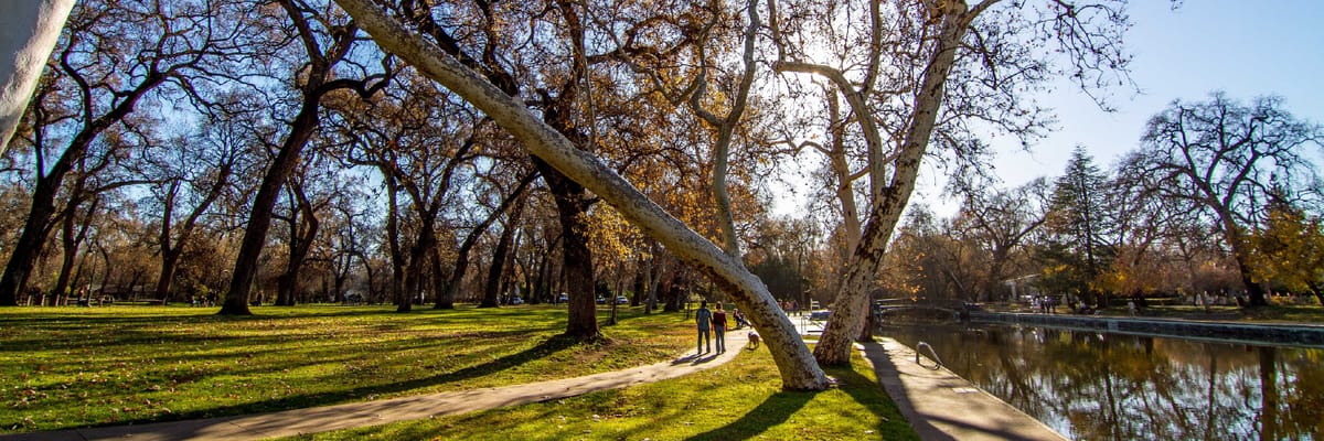 Flights to Chico with Air India