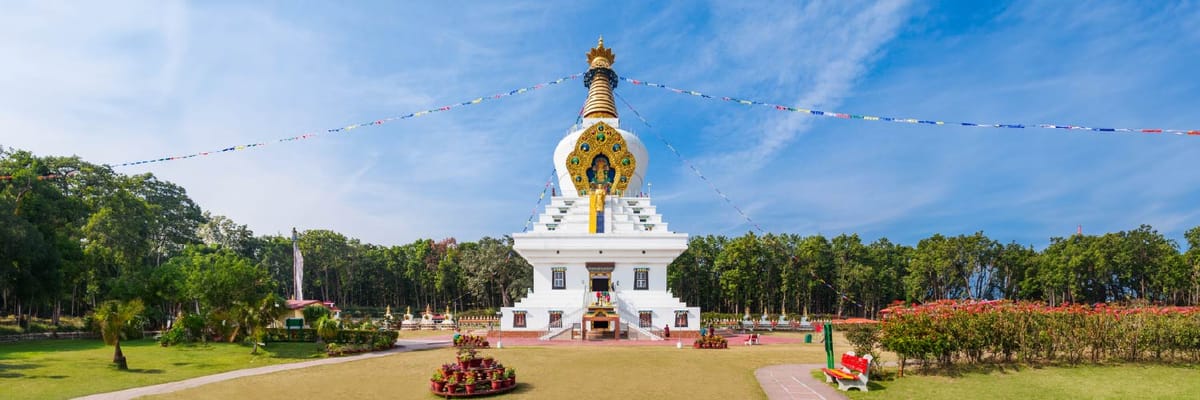 Flights to Dehradun with Air India